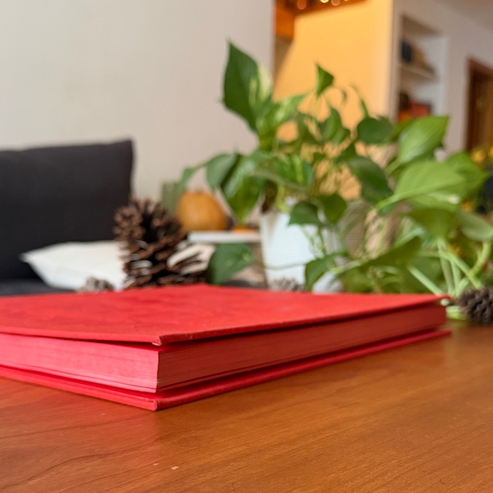Jony and Marc’s (RED) Auction - Hardcover, Sotheby’s - Picture 10 of 10